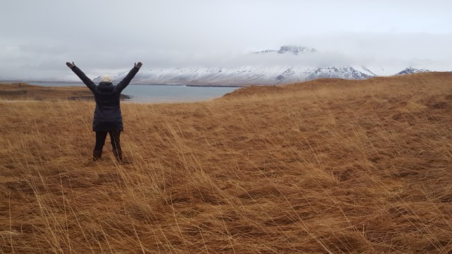 Videy Island near Reykjavik, Iceland.