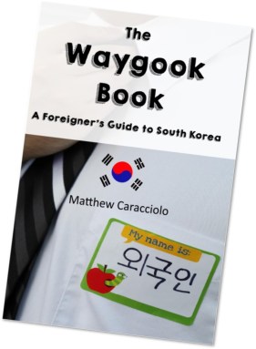 the waygook book front cover sideways