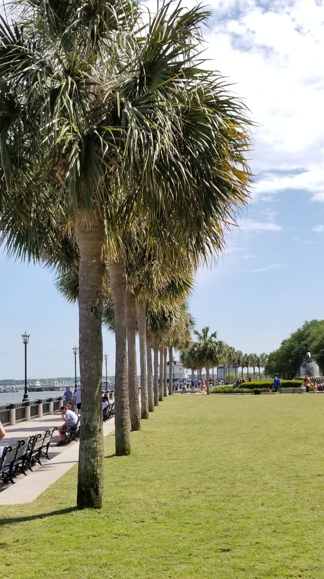 Waterfront Park in Charleston, SC