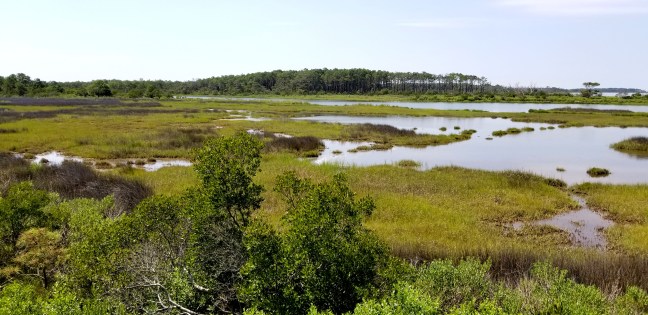 Assateague Island National Seashore