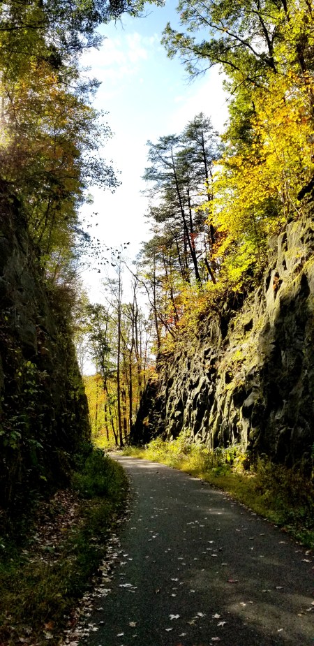 A deep cut through sandstone in Blackhand Gorge