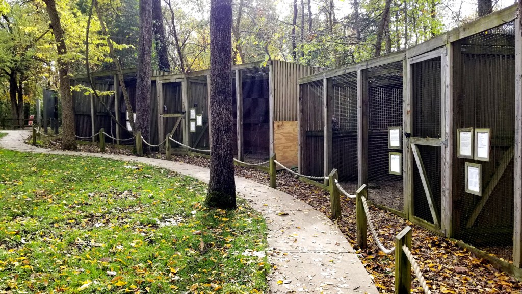 Glen Helen Raptor Center