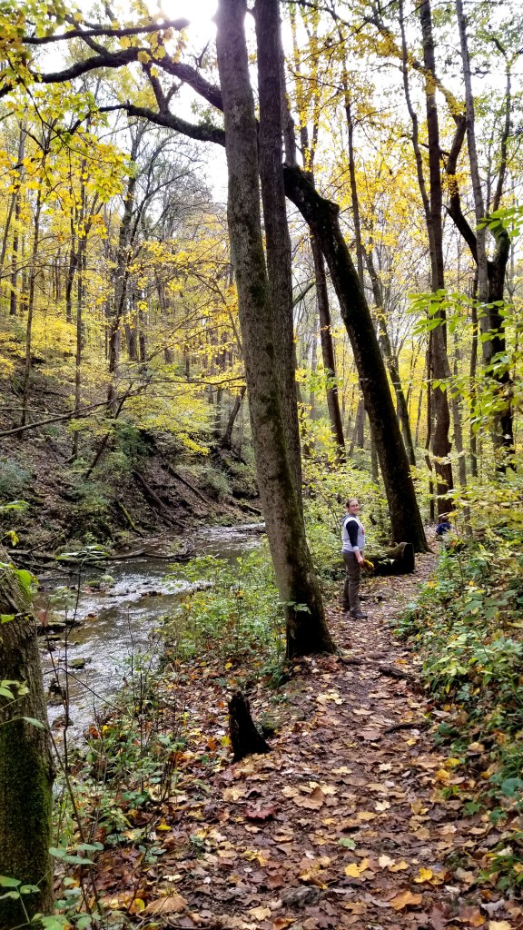 Inman Trail in Glen Helen Nature Preserve