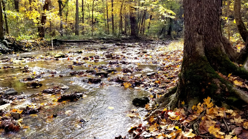 Glen Helen Nature Preserve in Yellow Springs