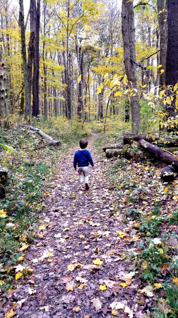 Glen Helen Nature Preserve